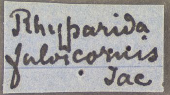 Media type: image; Entomology 9801   Aspect: labels